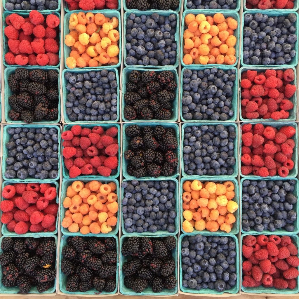 Berry Bins
