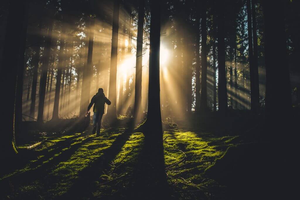Man Walking Through the Trees into the Light