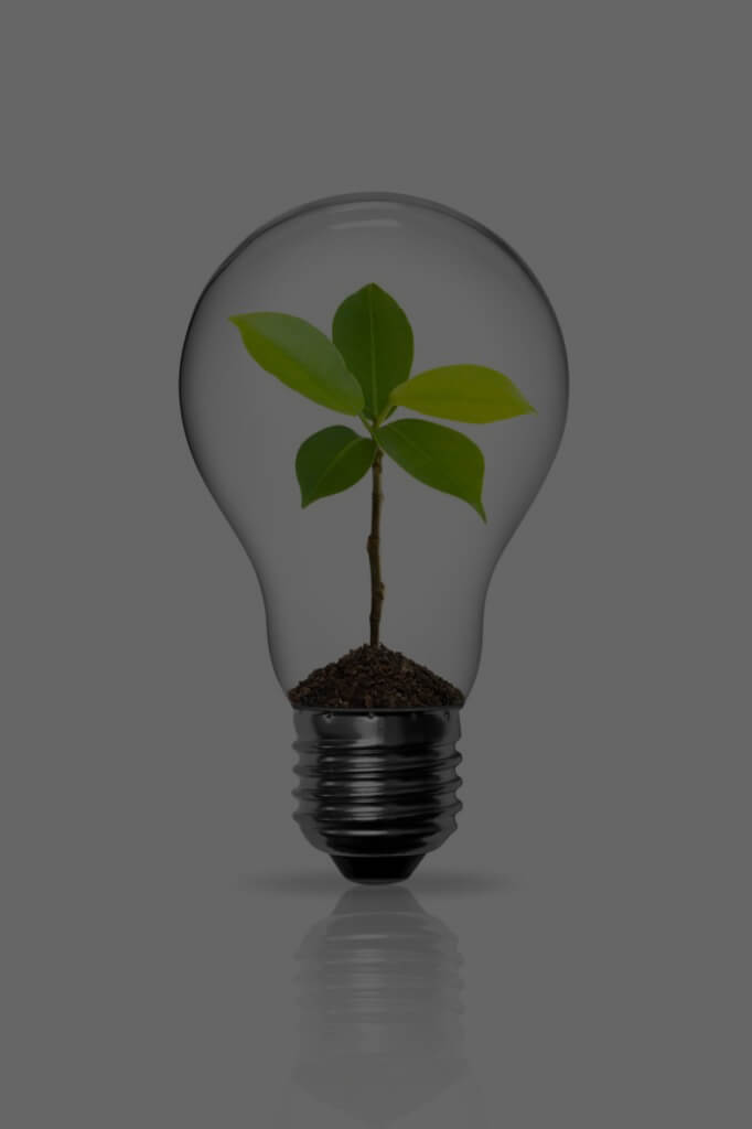 NewGrowth-1-682x1024