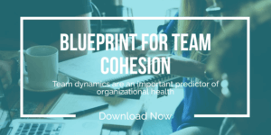 Blueprint for Team Cohesion