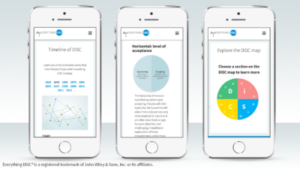 MyEverythingDiSC-Learn About DiSC Flow