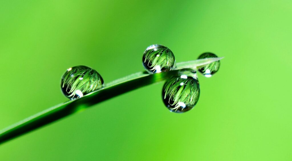 Water-Droplets-1