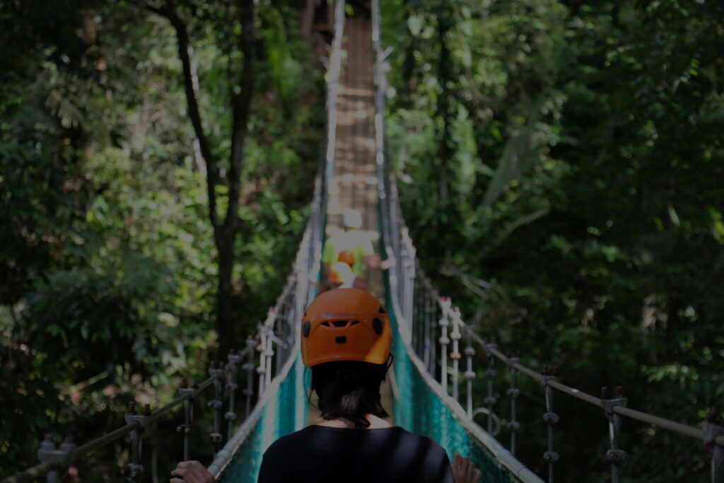 People Walking Across Suspension Bridge with 50 percent black overlay