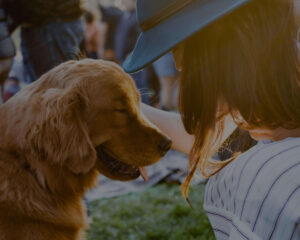 A woman wearing a blue hat petting a light brown puppy while contemplating changes in organizational culture at her work.