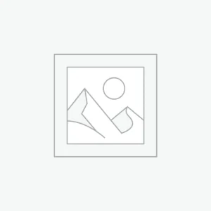 Everything DiSC® Catalyst Assessment - VIP